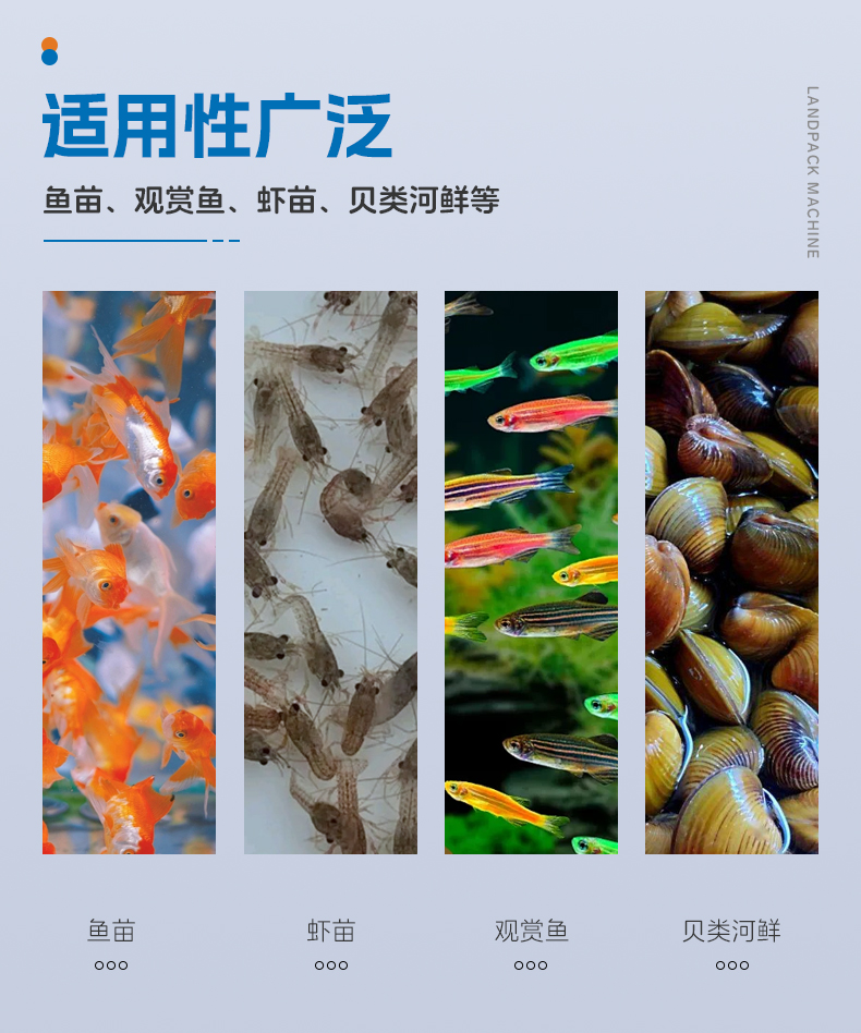 3808半自動(dòng)背封袋+齒輪泵灌液體500ML+鏈斗下料+魚+水+充氣+郭紅-詳情頁(yè)_03.jpg